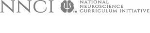 The National Neuroscience Curriculum Initiative (NNCI) logo