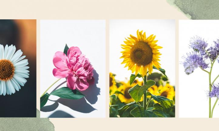 Four Types of Vulnerability and Their Gifts