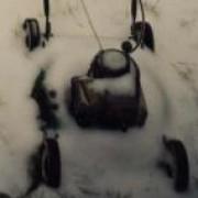 aviator's picture