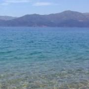 Aamy's picture
