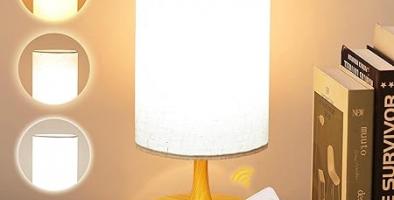 Daylight Lamp