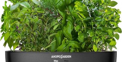 Indoor Hydroponic Herb Garden
