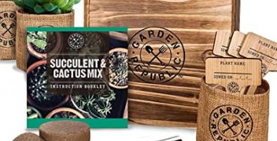 Succulent Garden Starter Kit